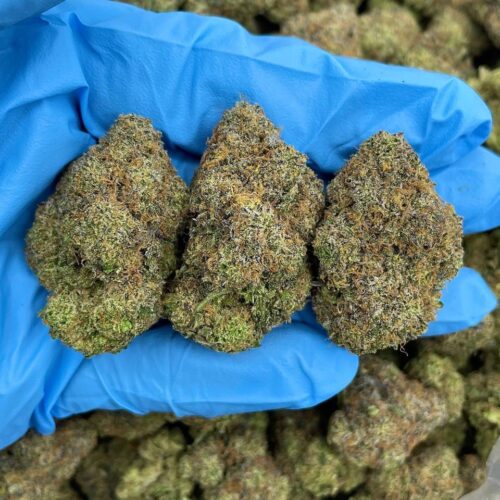 Fruit Chew Fusion lb416fr